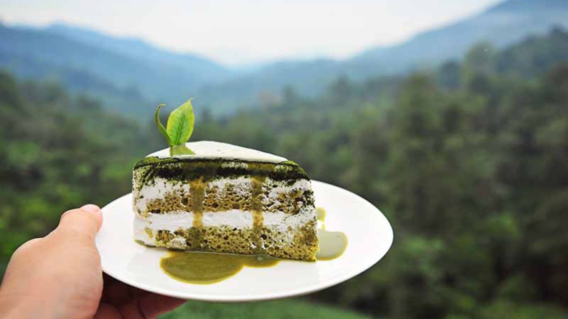 Tips for Baking Cakes at High Altitudes